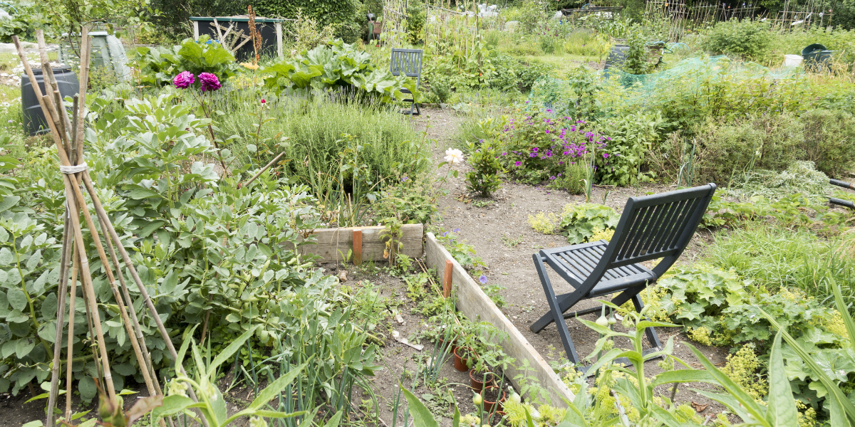 Tidy Garden Tools